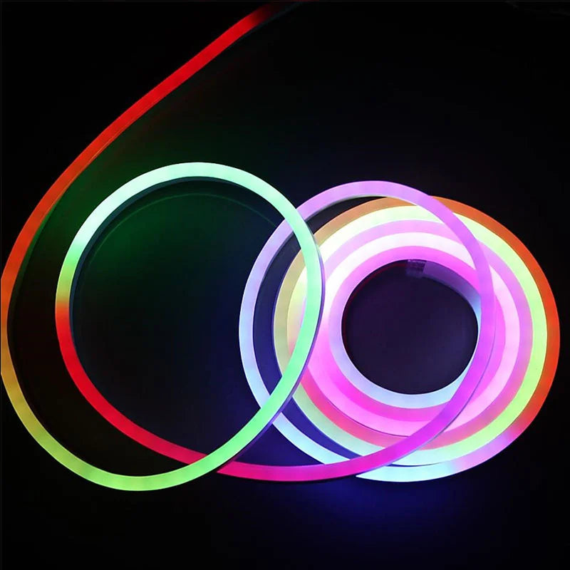 Neon LED Strip Lights 12-24V