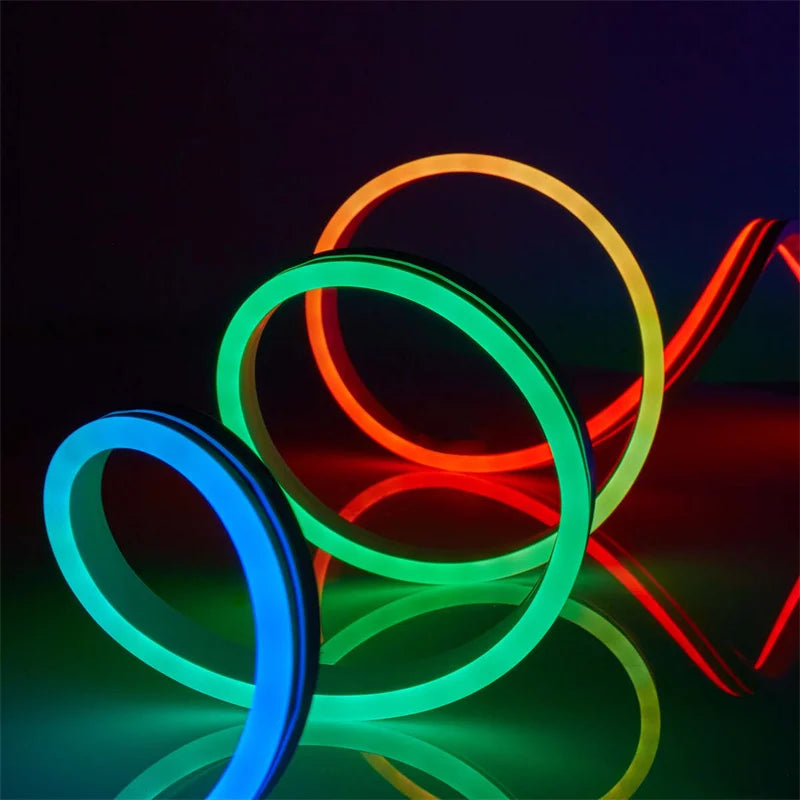Neon LED Strip Lights 12-24V