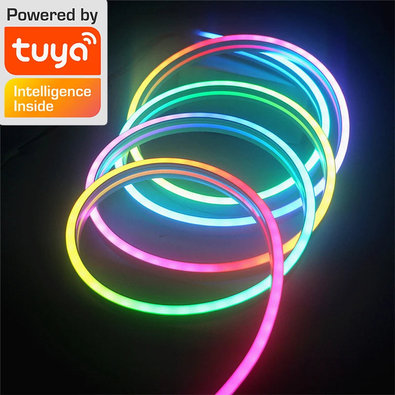 Neon LED Strip Lights 12-24V