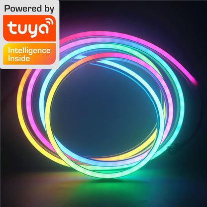 Neon LED Strip Lights 12-24V