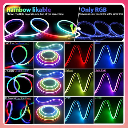 Neon LED Strip Lights 12-24V