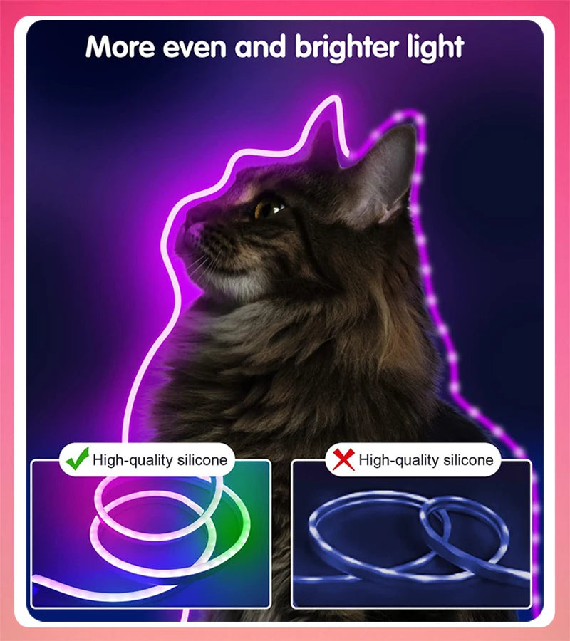 Neon LED Strip Lights 12-24V