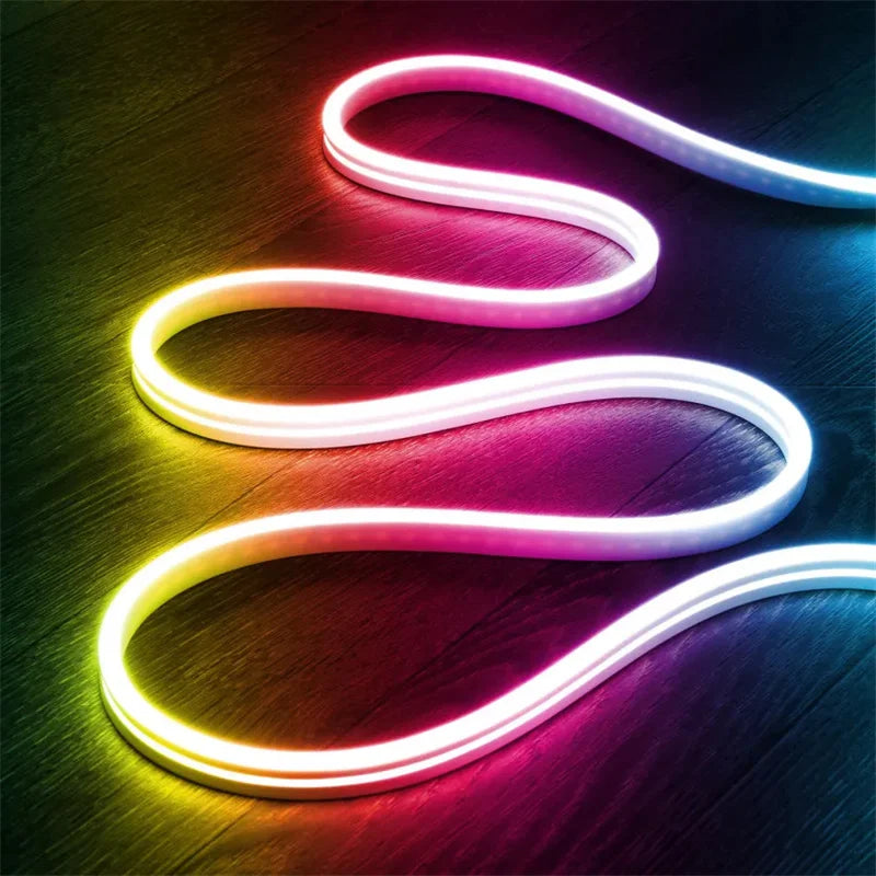 Neon LED Strip Lights 12-24V