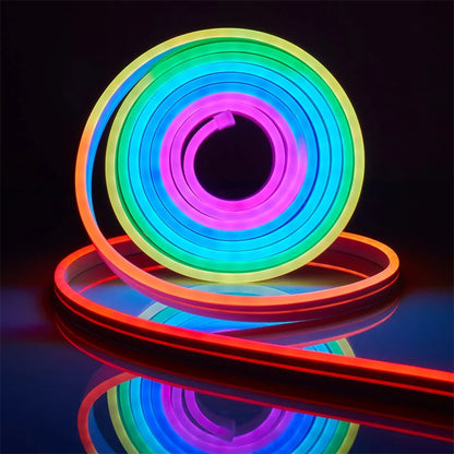 Neon LED Strip Lights 12-24V